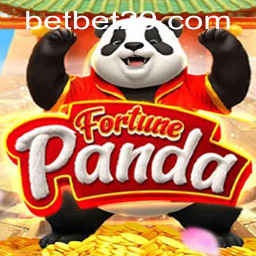 Exploring FortunePanda: A Guide to Betting and Gameplay